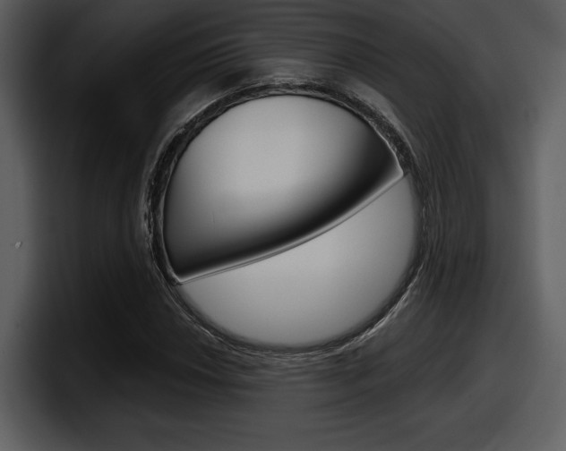 X0000098091018200804040722