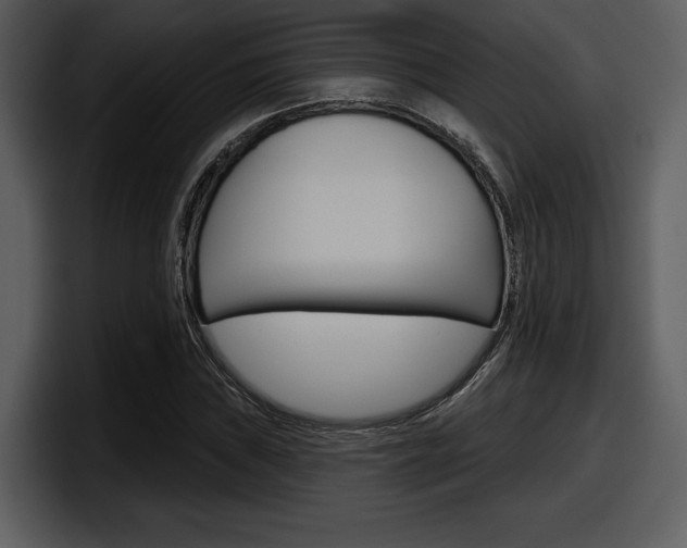 X0000098091019200804040722