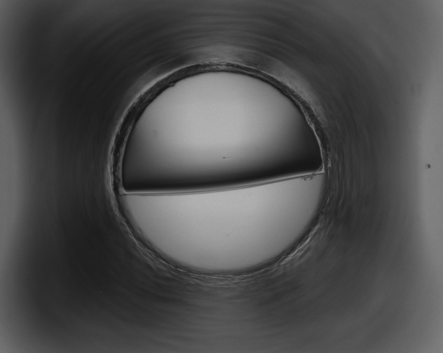 X0000098091020200804040722