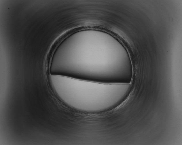 X0000098091021200804040722