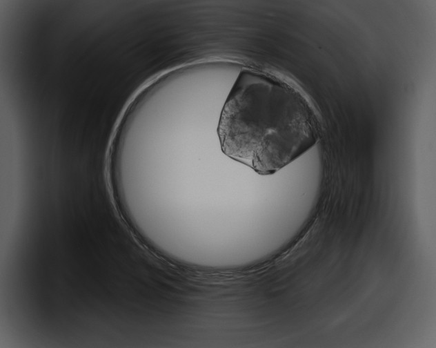 X0000098091024200804040722