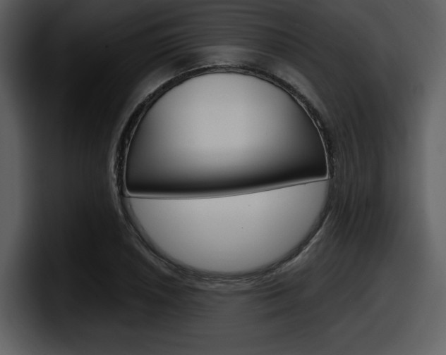 X0000098091026200804040722
