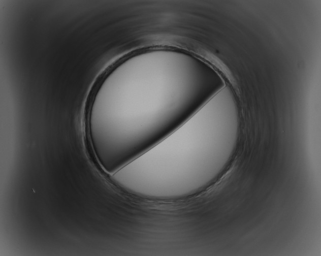 X0000098091028200804040722