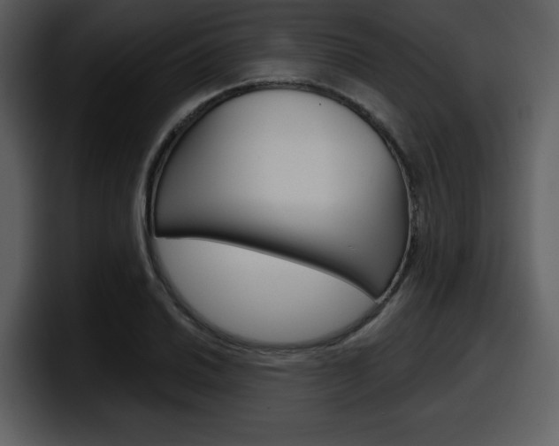 X0000098091030200804040722