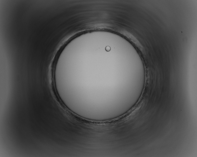 X0000098091031200804040722