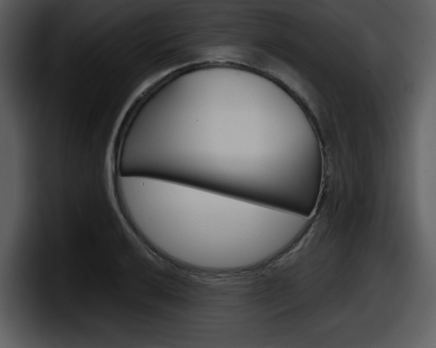 X0000098091032200804040722