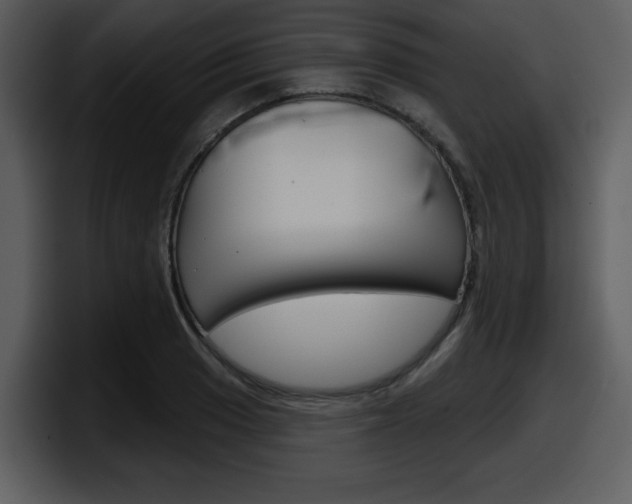 X0000098091033200804040722