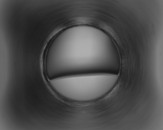 X0000098091034200804040722