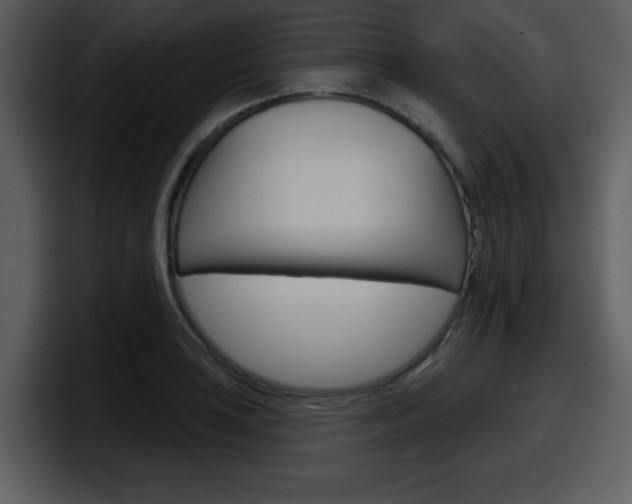 X0000098091035200804040722