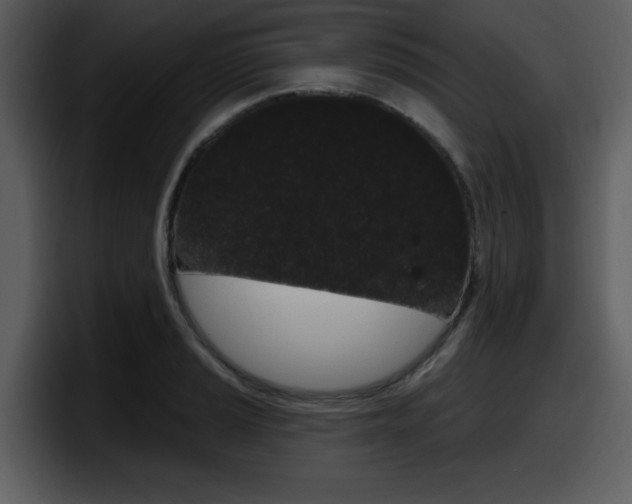 X0000098091037200804040722