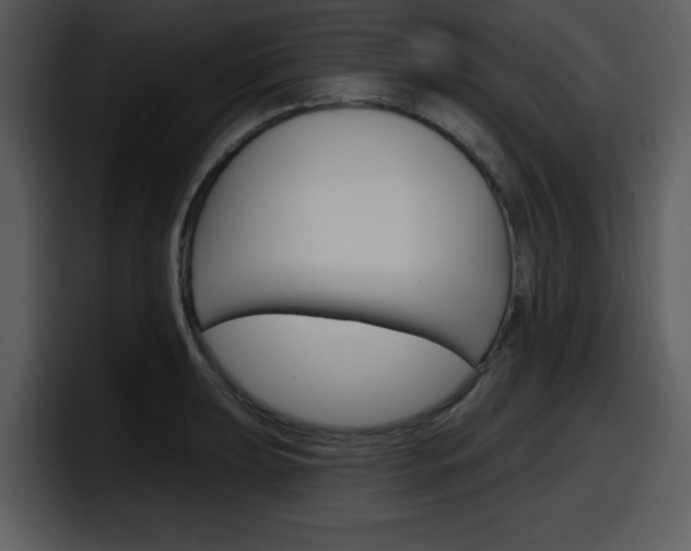 X0000098091039200804040722