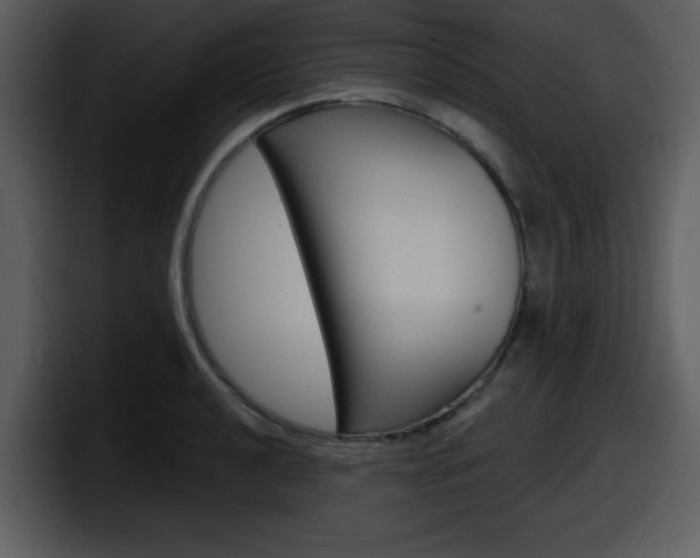 X0000098091040200804040722