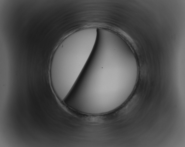 X0000098091041200804040722