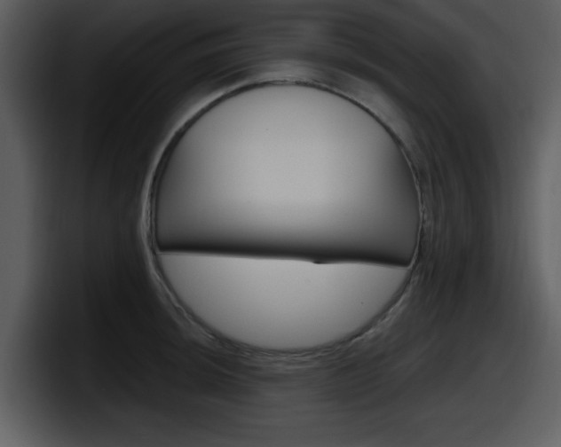 X0000098091044200804040722