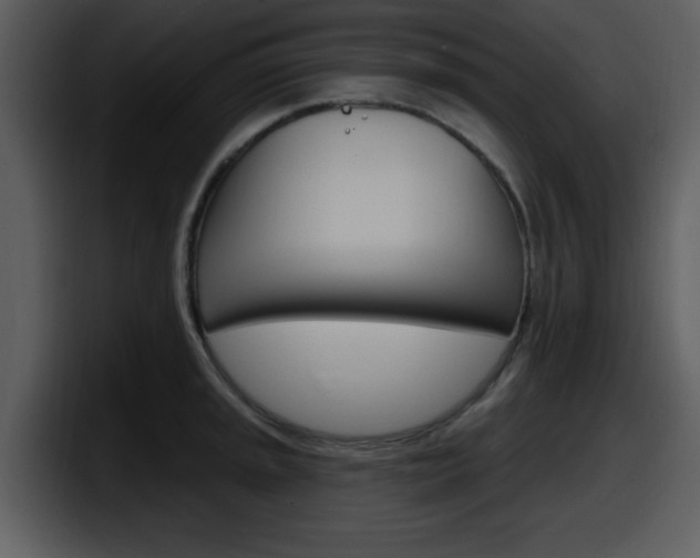 X0000098091045200804040722
