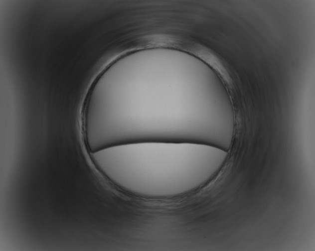 X0000098091047200804040722