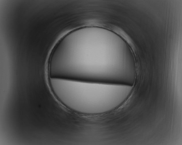 X0000098091048200804040722