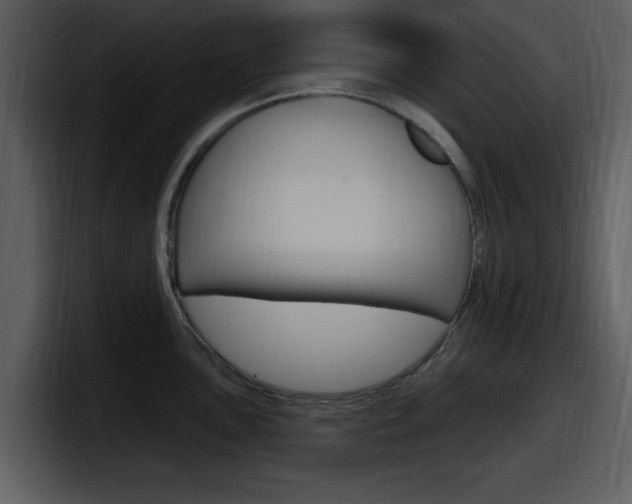 X0000098091051200804040722