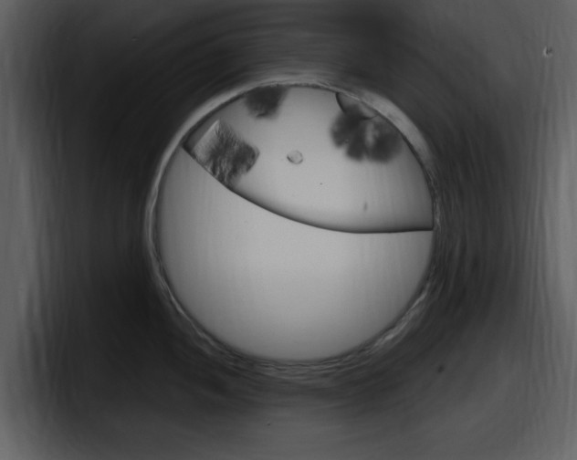 X0000098091052200804040722