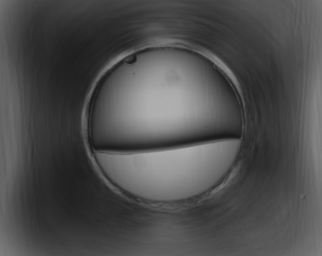 X0000098091053200804040722