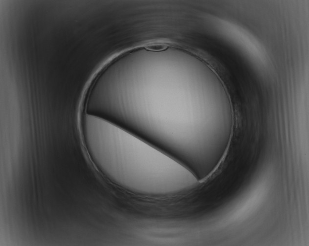 X0000098091054200804040722