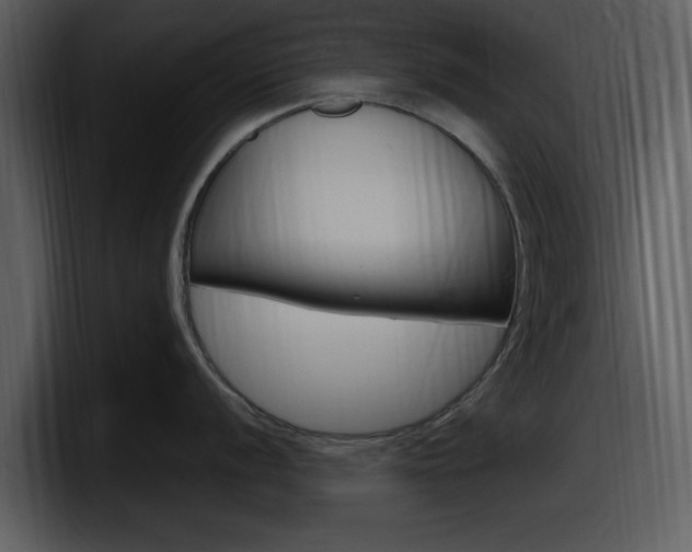 X0000098091056200804040722