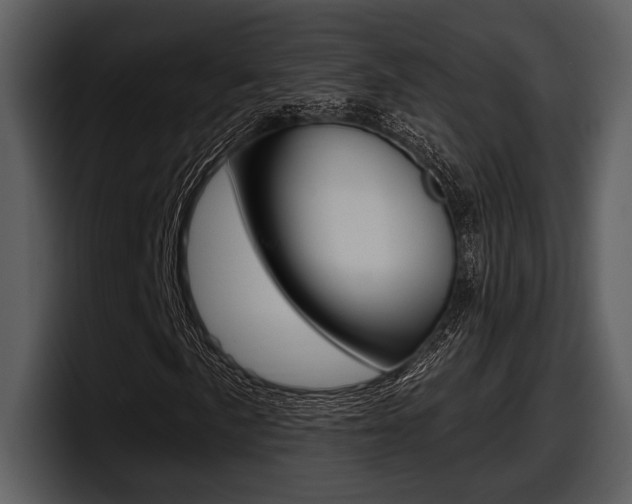 X0000098091057200804040722