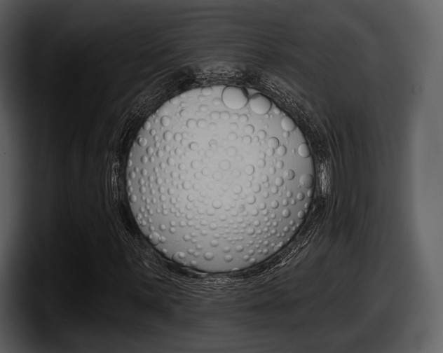 X0000098091059200804040722
