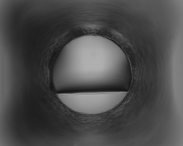 X0000098091061200804040722