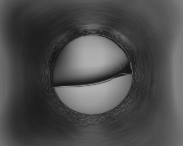 X0000098091062200804040722