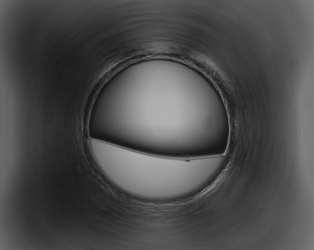 X0000098091065200804040722