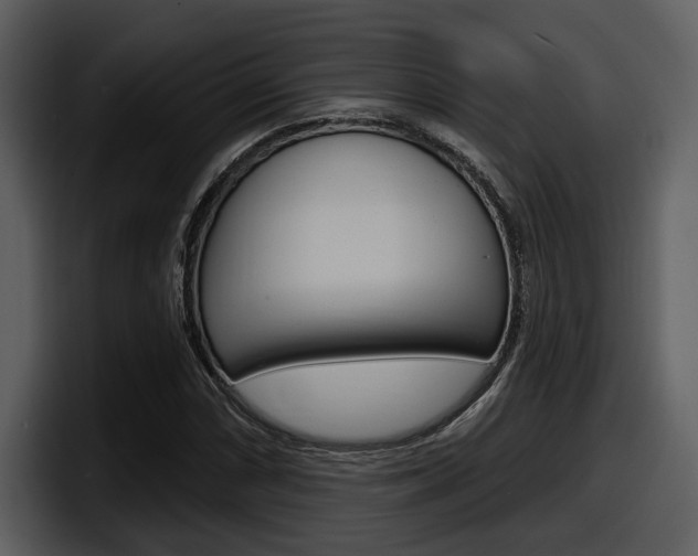 X0000098091066200804040722