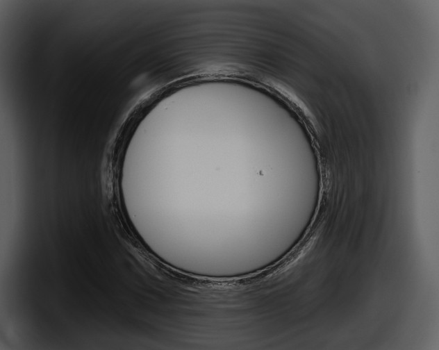 X0000098091067200804040722