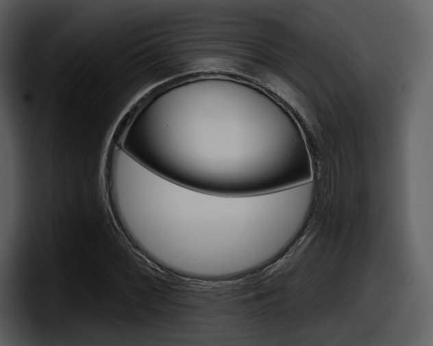 X0000098091068200804040722