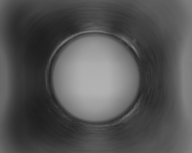 X0000098091069200804040722