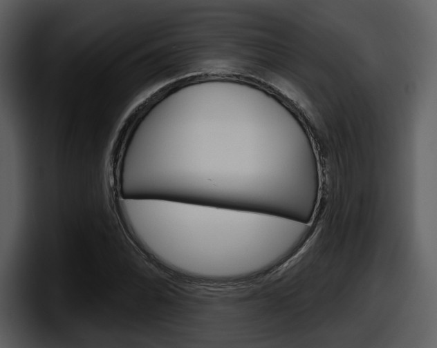 X0000098091070200804040722