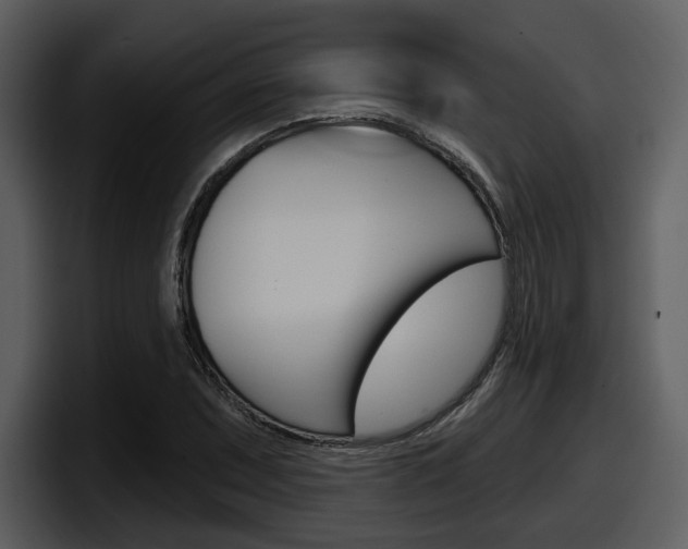 X0000098091071200804040722
