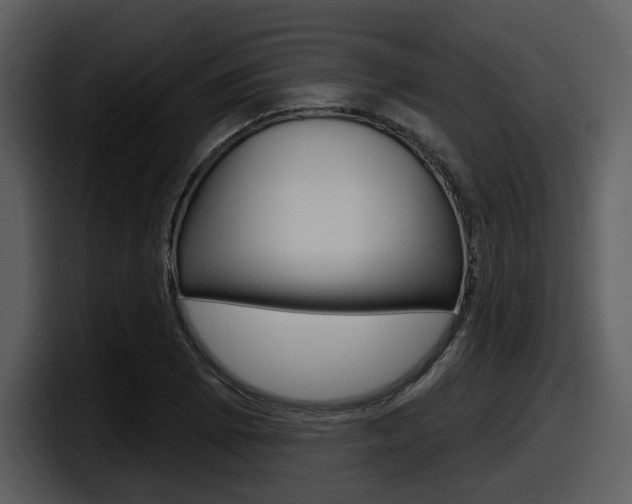 X0000098091073200804040722
