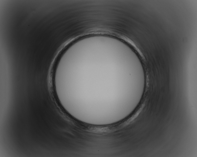 X0000098091074200804040722