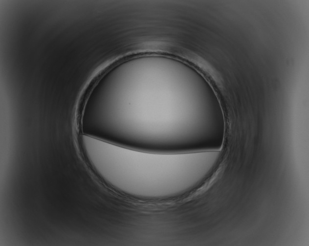 X0000098091077200804040722
