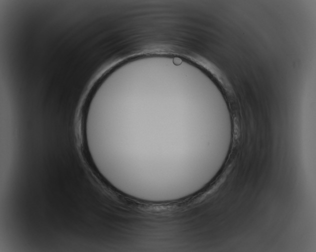 X0000098091078200804040722