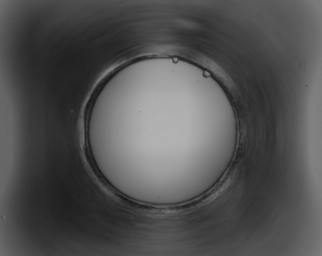 X0000098091079200804040722