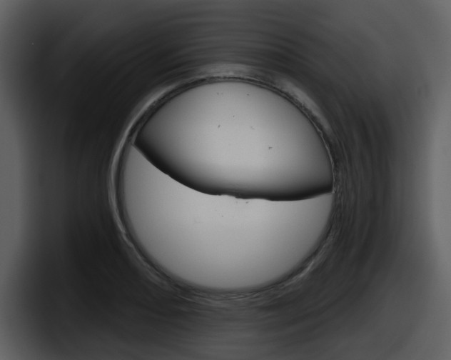 X0000098091082200804040722