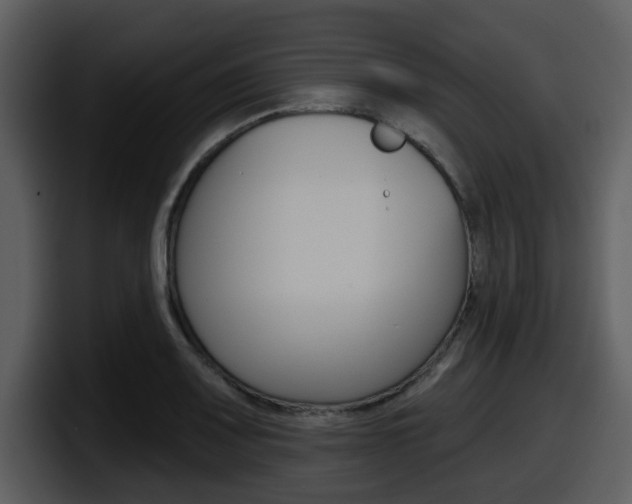 X0000098091083200804040722