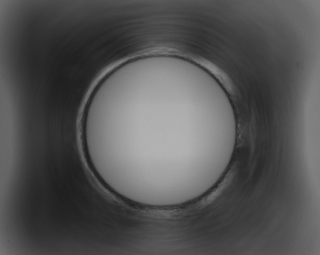 X0000098091086200804040721