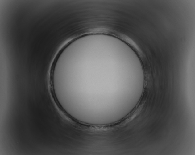 X0000098091087200804040721