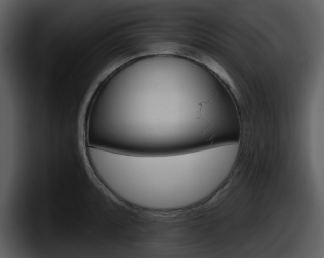 X0000098091088200804040721