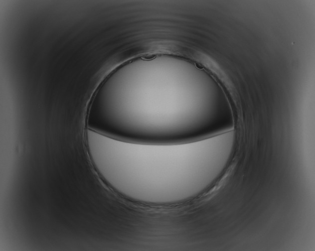 X0000098091089200804040721