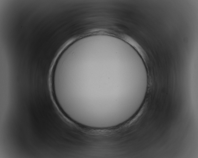 X0000098091090200804040721