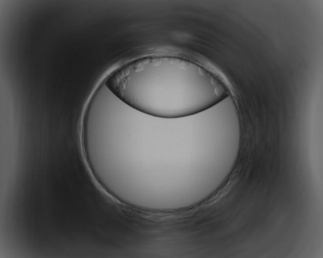 X0000098091095200804040721